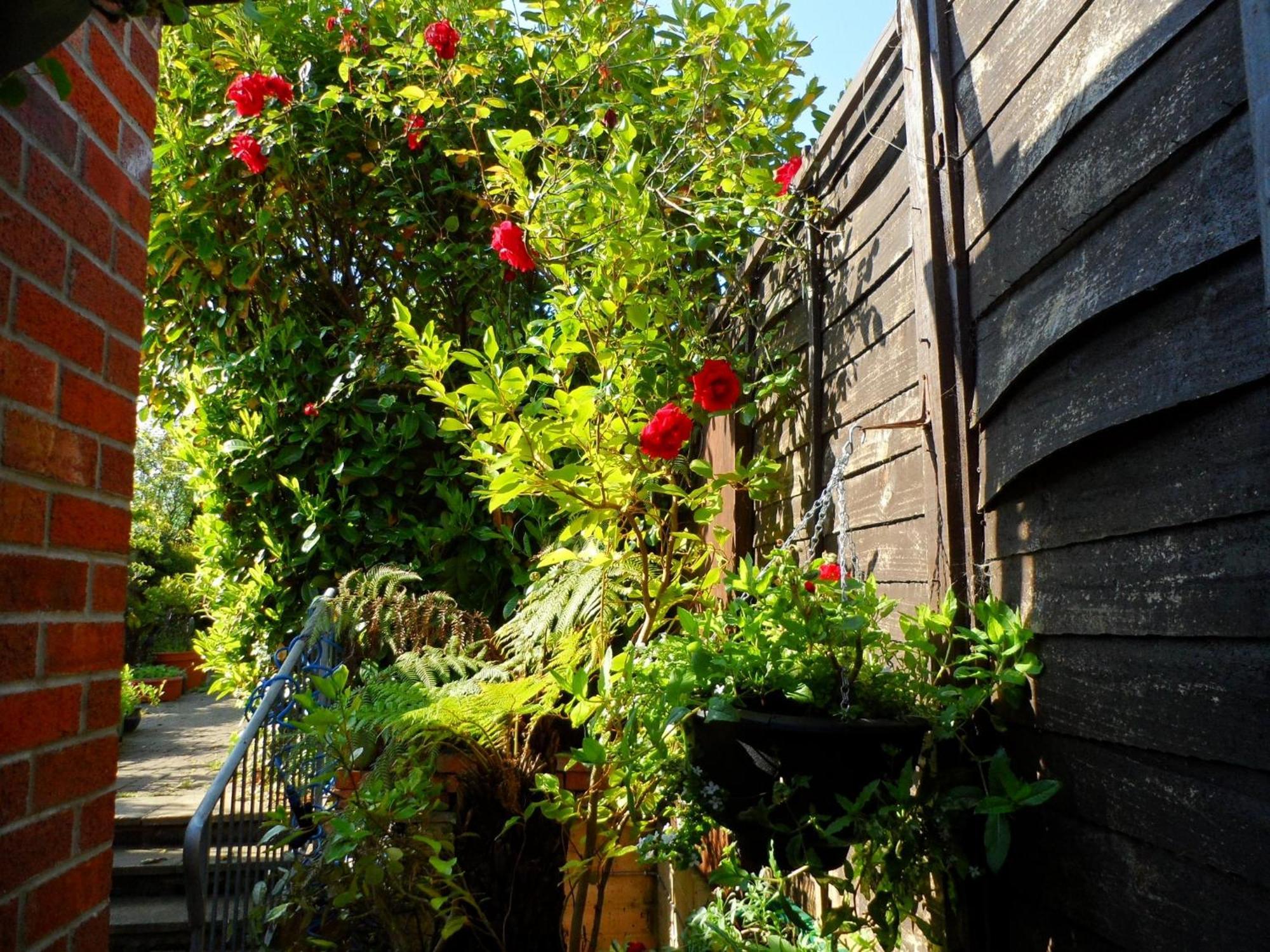 Galway Guest House Weymouth Exteriör bild